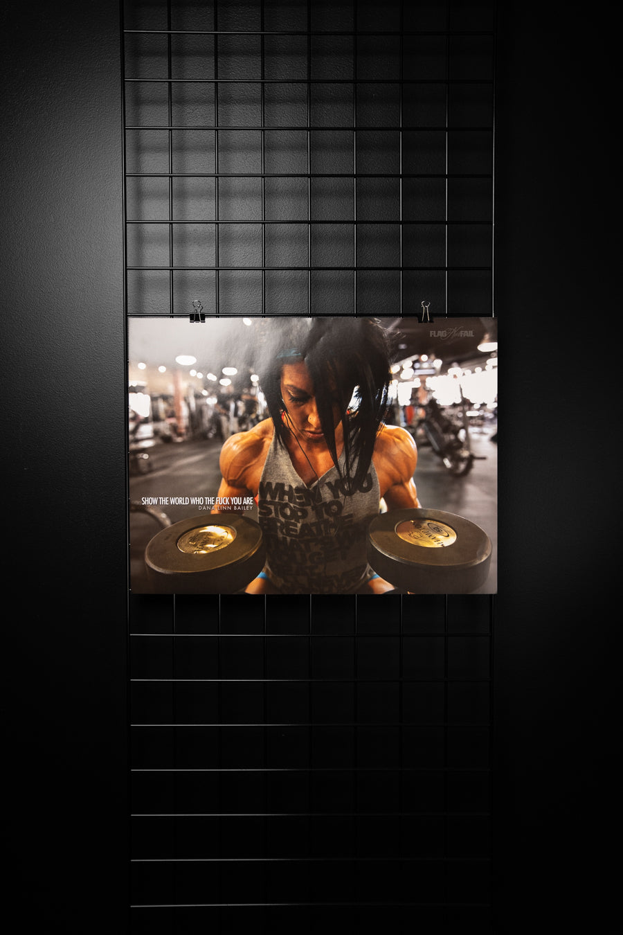 DLB DELTS POSTER